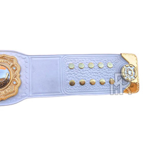 IWGP Intercontinental Championship Title Belt